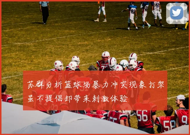 苏群分析篮球场暴力冲突现象打架虽不提倡却带来刺激体验