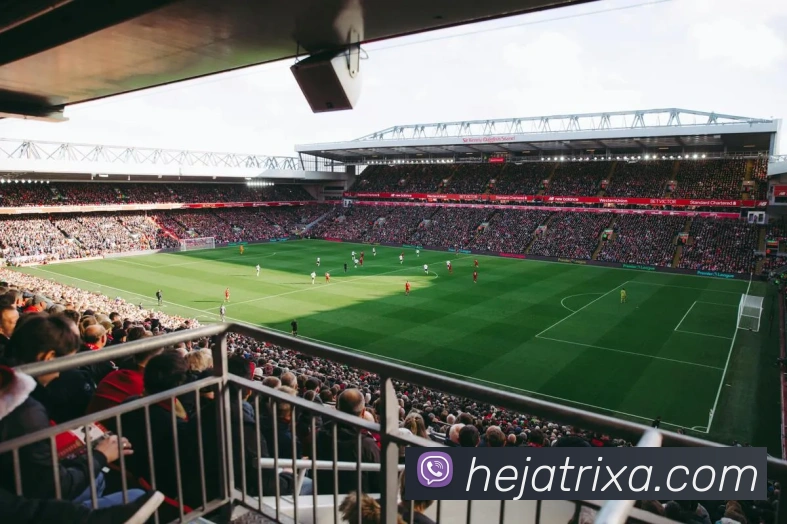 和记体育发展历程