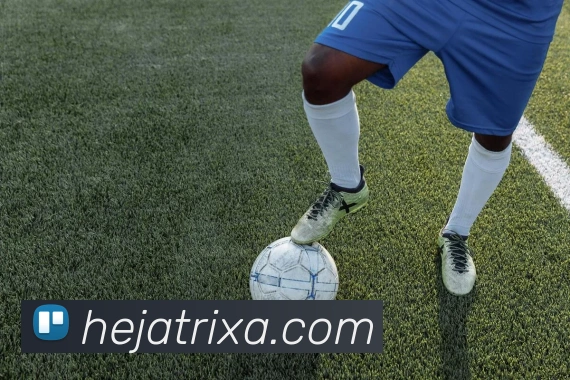 桑德兰主帅信心满满期待主场延续不败战绩力争对利物浦拿分